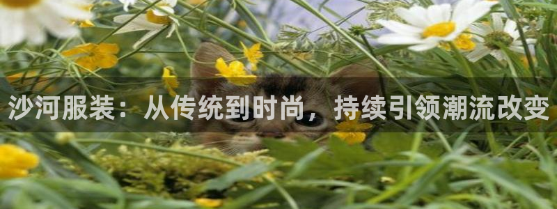 华润娱乐撤122222
