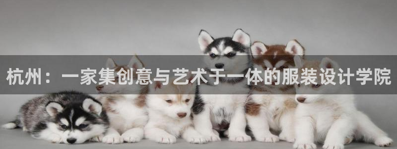 华润娱乐禄95692