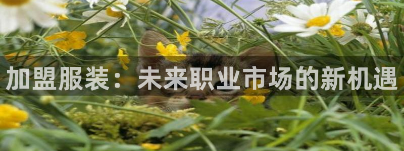 华润娱乐上5指尖