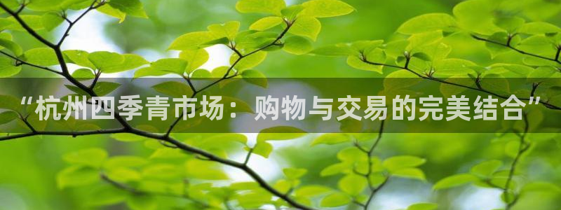 华润二十四城娱乐