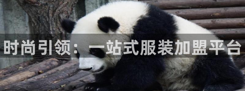 华润娱乐b3指尖