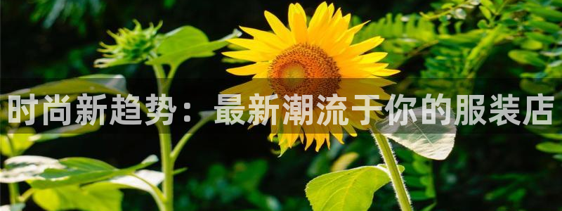 华润娱乐个67五壹叁八