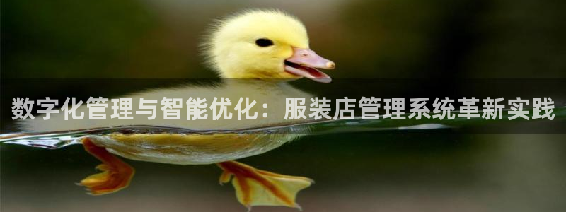 华润娱乐前5指尖
