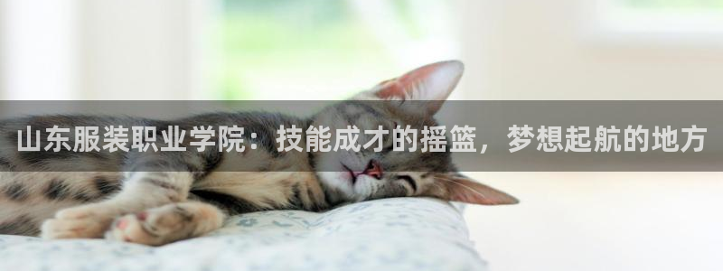华润国际娱乐官网