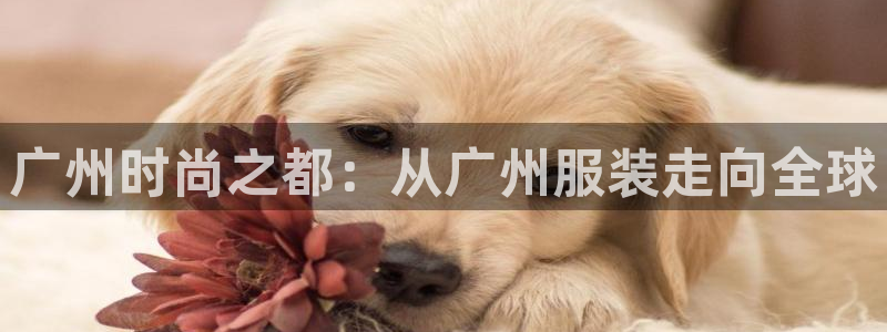 华润娱乐同