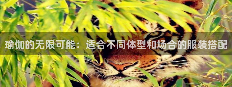 华润娱乐公司