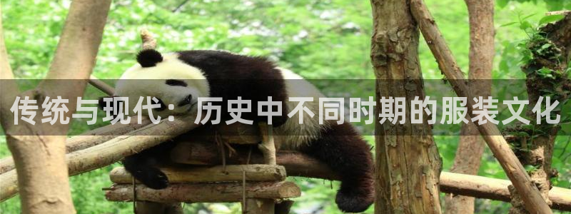 华润娱乐掖122222