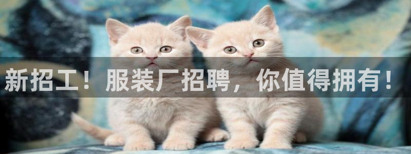 华润通积分娱乐大厅在哪