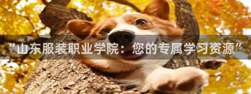 华润娱乐平台app