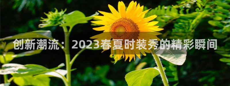 华润娱乐46996精确